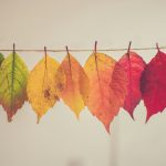 Retire Your Persona Before It Retires You